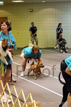 Birmingham Bandits Summer Shootout<br />June 27, 2010<br />Bessemer Civic Center<br />Bessemer Al