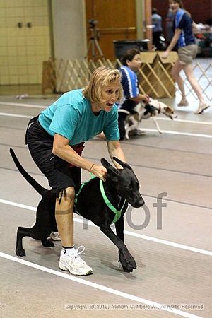 Birmingham Bandits Summer Shootout<br />June 27, 2010<br />Bessemer Civic Center<br />Bessemer Al