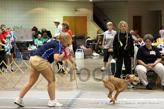 Birmingham Bandits Summer Shootout<br />June 27, 2010<br />Bessemer Civic Center<br />Bessemer Al