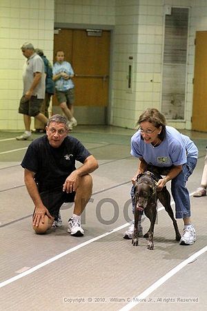 Birmingham Bandits Summer Shootout<br />June 27, 2010<br />Bessemer Civic Center<br />Bessemer Al