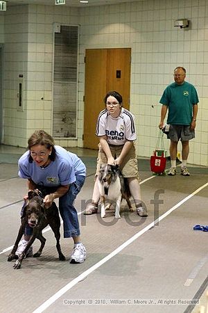 Birmingham Bandits Summer Shootout<br />June 27, 2010<br />Bessemer Civic Center<br />Bessemer Al