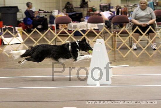 Birmingham Bandits Summer Shootout<br />June 27, 2010<br />Bessemer Civic Center<br />Bessemer Al