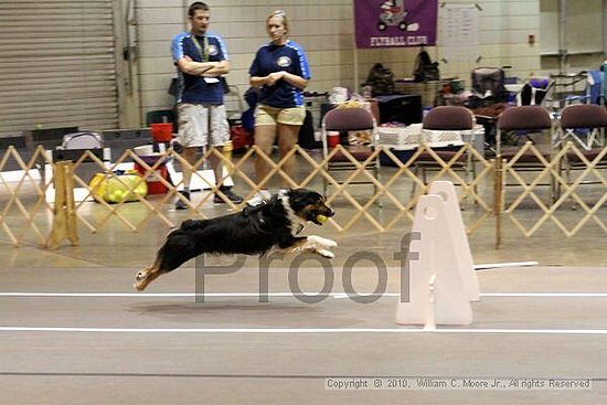 Birmingham Bandits Summer Shootout<br />June 27, 2010<br />Bessemer Civic Center<br />Bessemer Al