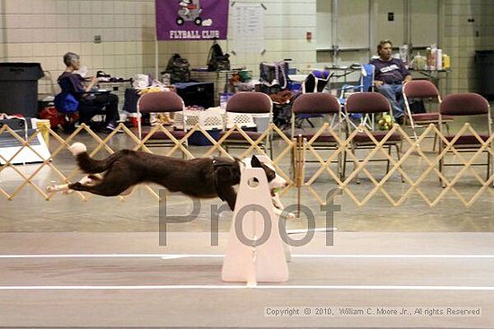 Birmingham Bandits Summer Shootout<br />June 27, 2010<br />Bessemer Civic Center<br />Bessemer Al