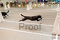 img_6468_thm.jpg
