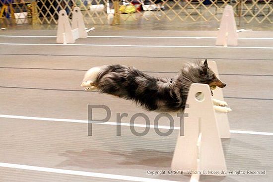 Birmingham Bandits Summer Shootout<br />June 27, 2010<br />Bessemer Civic Center<br />Bessemer Al