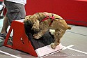 img_6513_thm.jpg