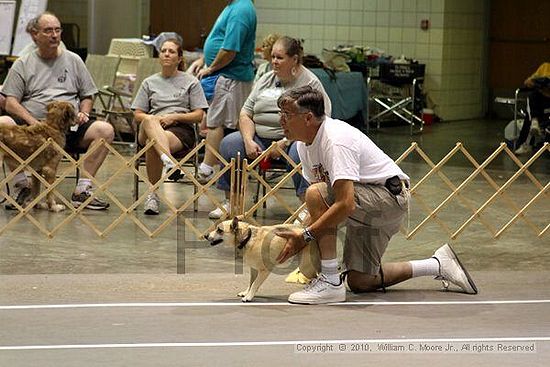 Birmingham Bandits Summer Shootout<br />June 27, 2010<br />Bessemer Civic Center<br />Bessemer Al