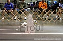 img_6663_thm.jpg