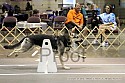 img_6671_thm.jpg