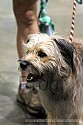 img_6684_thm.jpg