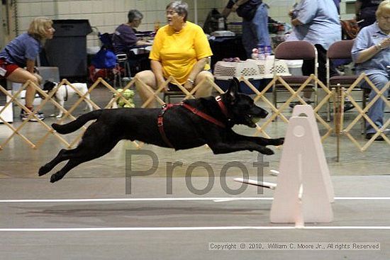 Birmingham Bandits Summer Shootout<br />June 27, 2010<br />Bessemer Civic Center<br />Bessemer Al