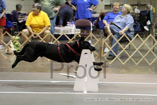 Birmingham Bandits Summer Shootout<br />June 27, 2010<br />Bessemer Civic Center<br />Bessemer Al