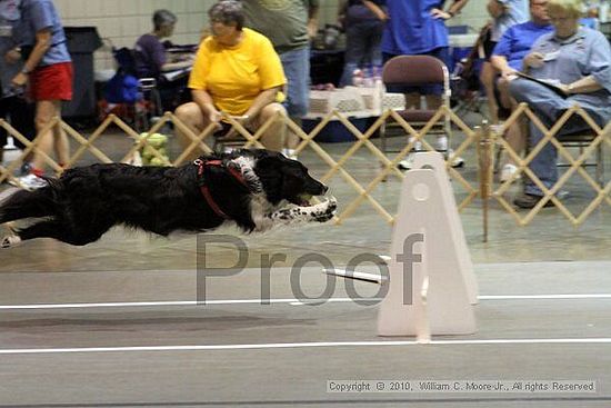 Birmingham Bandits Summer Shootout<br />June 27, 2010<br />Bessemer Civic Center<br />Bessemer Al