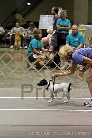 Birmingham Bandits Summer Shootout<br />June 27, 2010<br />Bessemer Civic Center<br />Bessemer Al