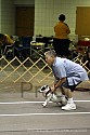 img_6749_thm.jpg