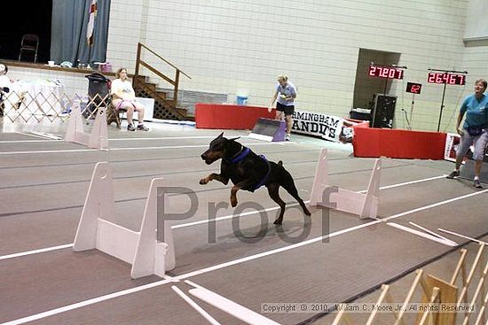 Birmingham Bandits Summer Shootout<br />June 27, 2010<br />Bessemer Civic Center<br />Bessemer Al