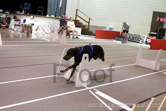 Birmingham Bandits Summer Shootout<br />June 27, 2010<br />Bessemer Civic Center<br />Bessemer Al