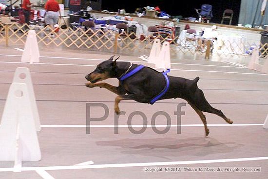 Birmingham Bandits Summer Shootout<br />June 27, 2010<br />Bessemer Civic Center<br />Bessemer Al