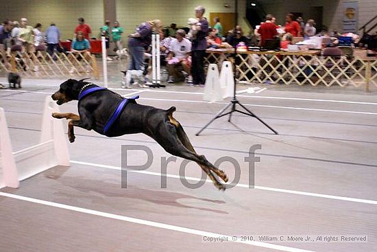 Birmingham Bandits Summer Shootout<br />June 27, 2010<br />Bessemer Civic Center<br />Bessemer Al