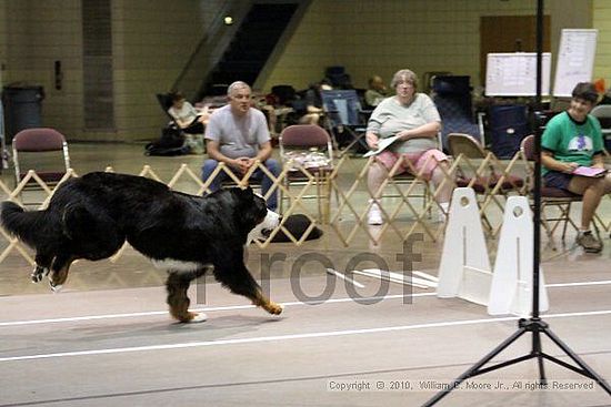 Birmingham Bandits Summer Shootout<br />June 27, 2010<br />Bessemer Civic Center<br />Bessemer Al