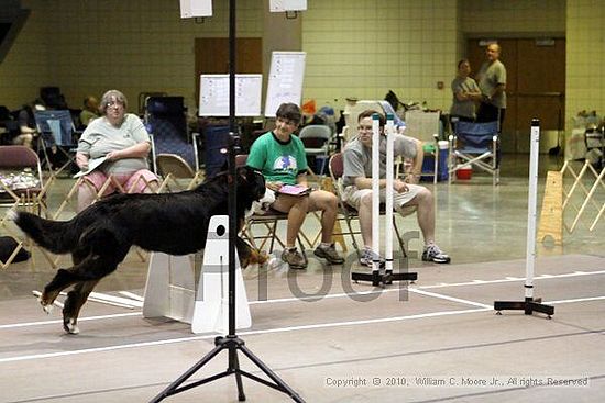 Birmingham Bandits Summer Shootout<br />June 27, 2010<br />Bessemer Civic Center<br />Bessemer Al