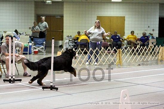 Birmingham Bandits Summer Shootout<br />June 27, 2010<br />Bessemer Civic Center<br />Bessemer Al