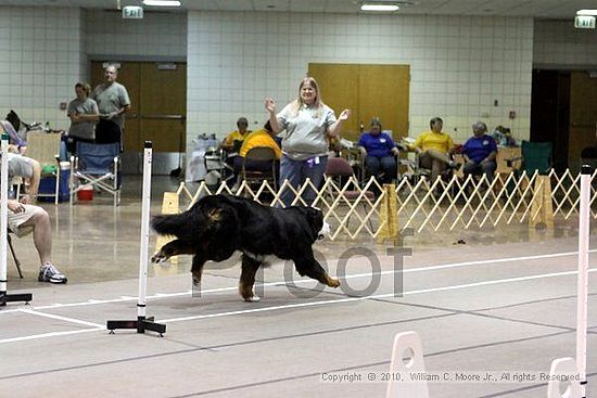 Birmingham Bandits Summer Shootout<br />June 27, 2010<br />Bessemer Civic Center<br />Bessemer Al