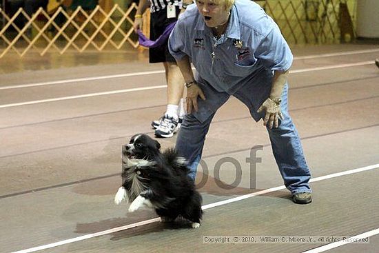 Birmingham Bandits Summer Shootout<br />June 27, 2010<br />Bessemer Civic Center<br />Bessemer Al