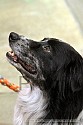 img_5640_thm.jpg