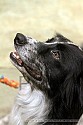 img_5641_thm.jpg