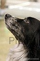 img_5643_thm.jpg