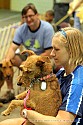 img_5703_thm.jpg