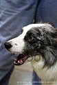 img_5778_thm.jpg