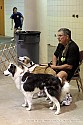 img_5809_thm.jpg
