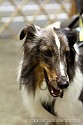 img_5905_thm.jpg