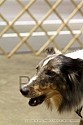 img_5906_thm.jpg