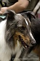 img_5908_thm.jpg