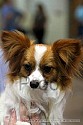 img_5932_thm.jpg