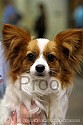 img_5933_thm.jpg