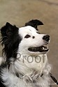 img_5934_thm.jpg