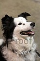 img_5935_thm.jpg