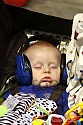 img_5936_thm.jpg