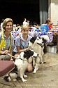 img_5940_thm.jpg