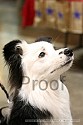 img_5942_thm.jpg