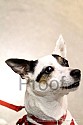 img_5943_thm.jpg