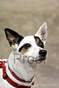 img_5946_thm.jpg