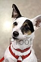 img_5948_thm.jpg