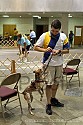 img_5950_thm.jpg
