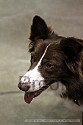 img_5975_thm.jpg